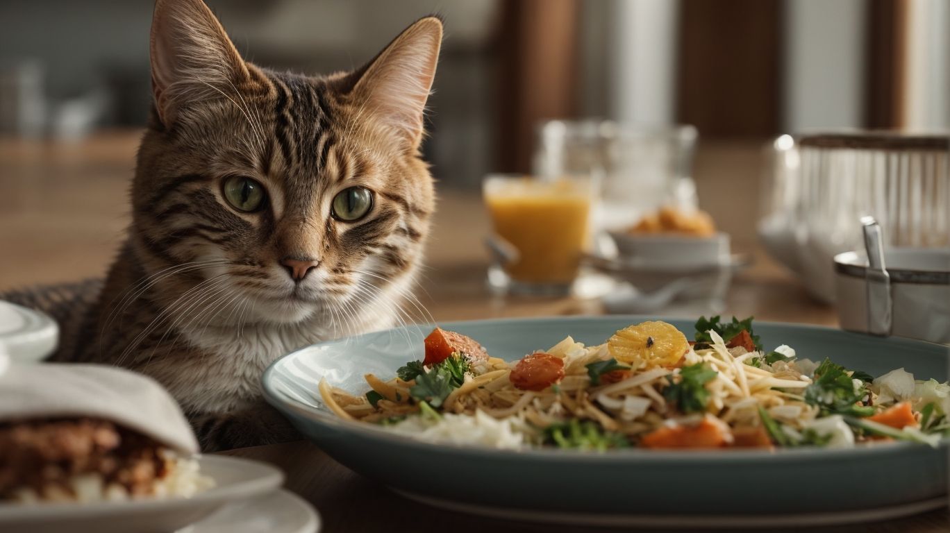 ¿Qué es una alimentación adecuada para los gatos? 